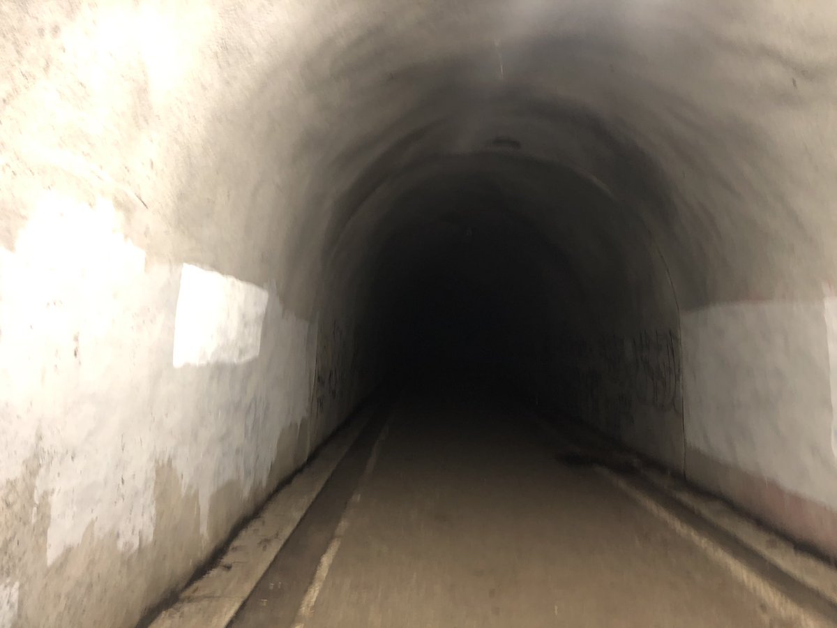 トンネル 旧 小峰 小峰トンネル