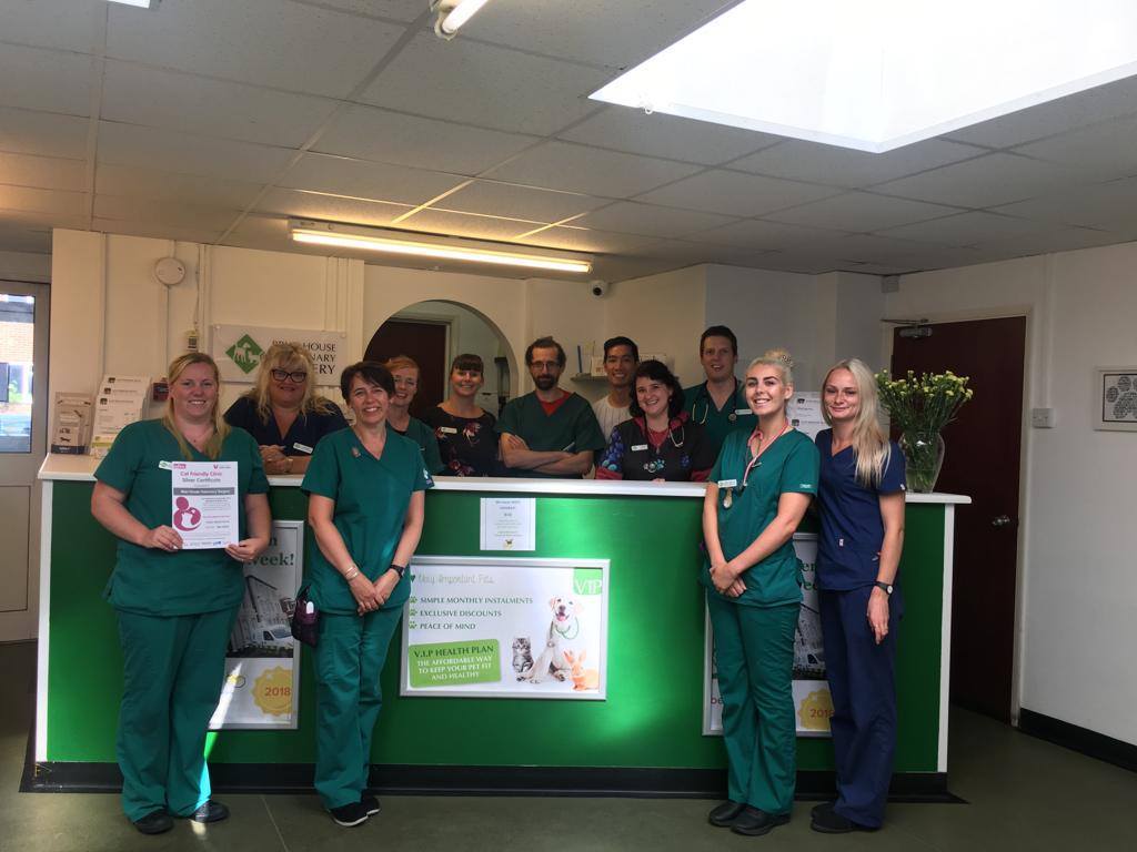 Cat Friendly Clinic And Weekly News Across Our Group #dog #cat #clinical #cases #pyometra #vet #vetsurgeon #vetnurse #vetsurgery #londonvets #kentvets londonvets.wordpress.com/2019/09/20/cat…