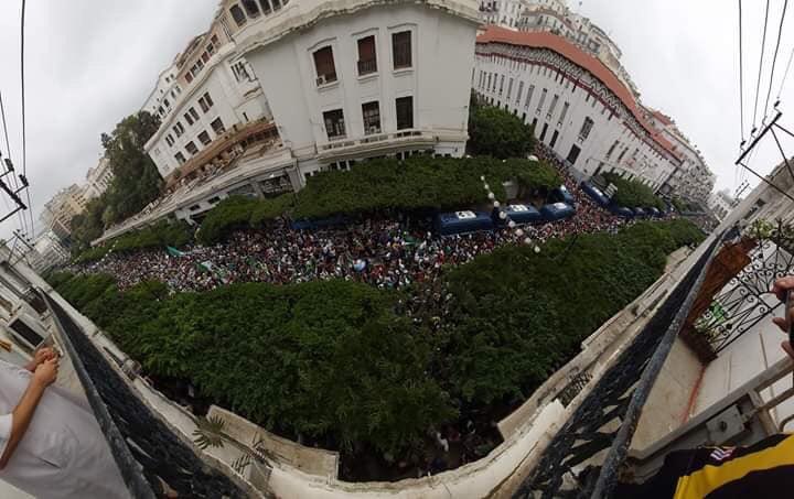 Algerie_Expat's tweet photo. #Algérie #Acte31 : Un tsunami humain malgré la répression, une belle démonstration ! https://t.co/qrUjpUtNQR