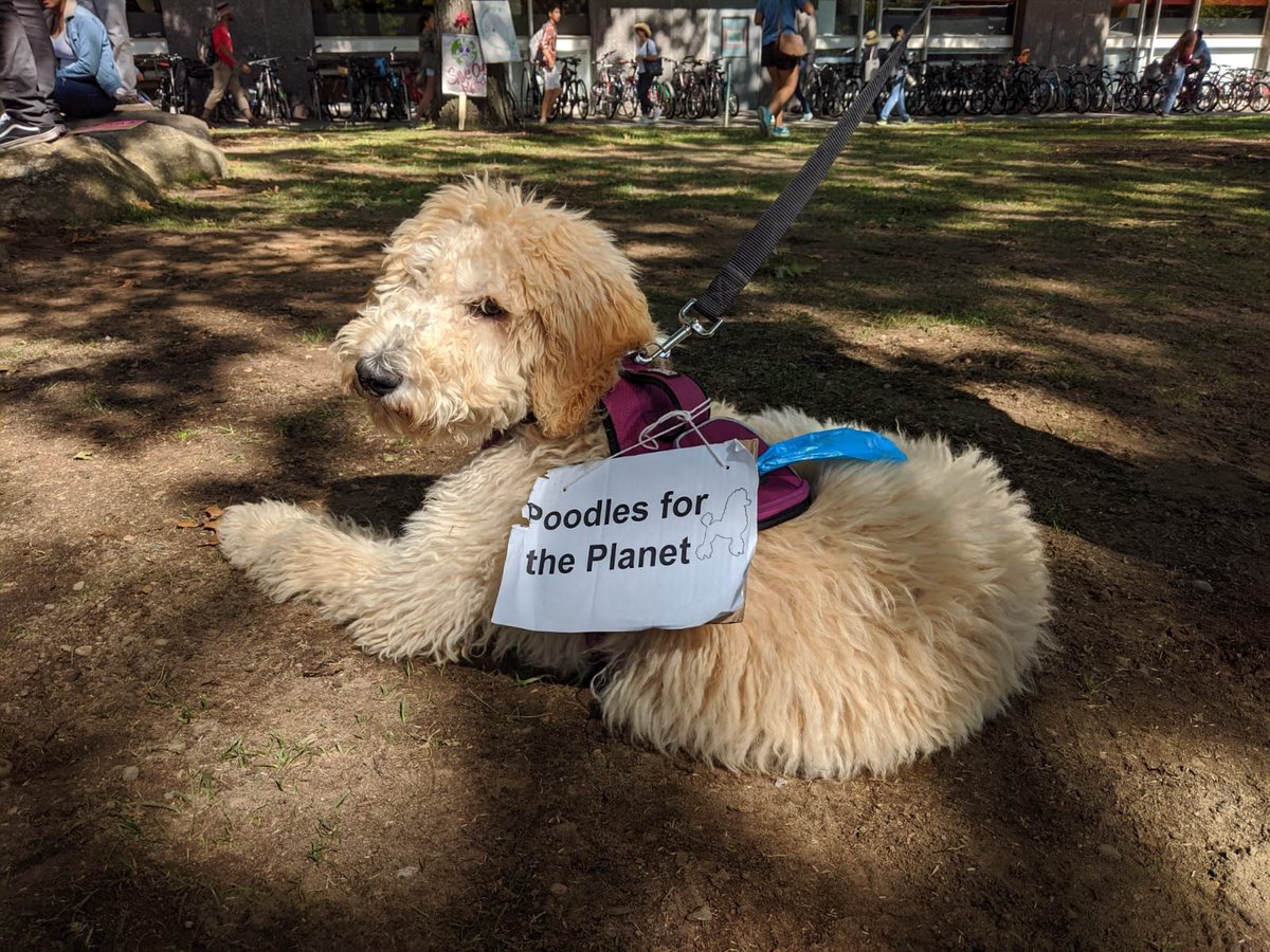 robo_niccarey's tweet image. #Harvardclimatestrike #divestments