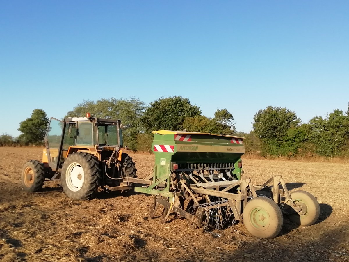 Semis de mon premier meteil pour mon futur cheptel. 🤭 #CIVE
#méthanisation #Biogaz
@grdf <a href="/RoblesNatalia/">Natalia ROBLES</a>