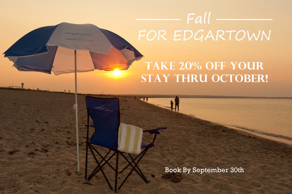 Keep On The Sunny Side... And Save 20%! - mailchi.mp/vineyardsquare…