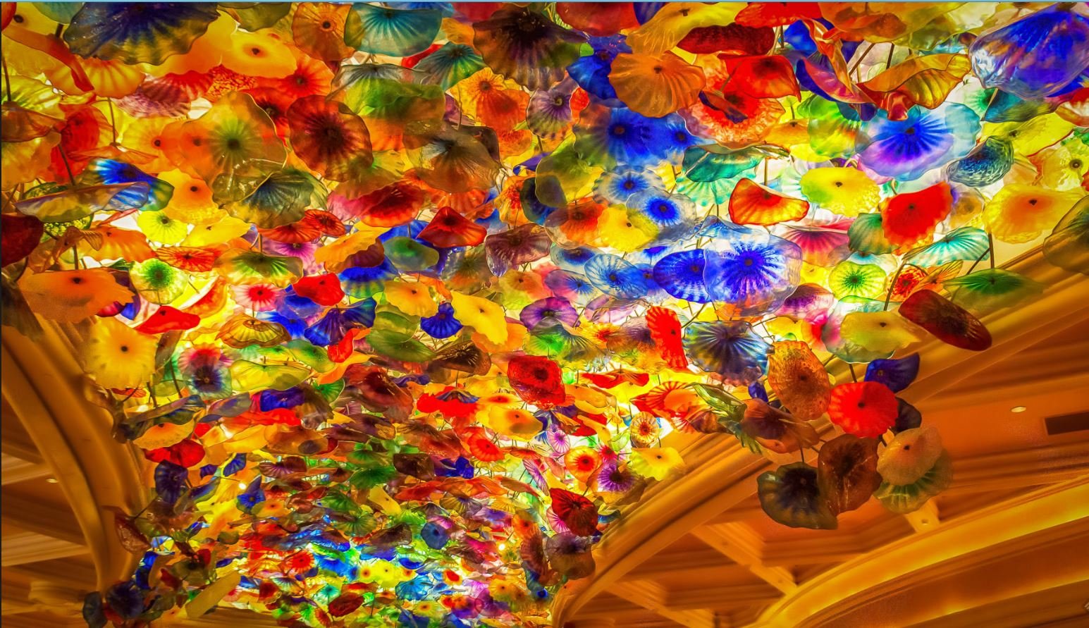 Chihuly s art blossoms at Bellagio
Happy Birthday Dale Chihuly, B. 1941 