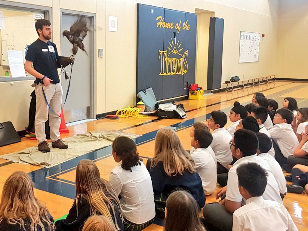 jjonesteach's tweet photo. Thank you @OWLRehab for the wonderful presentation @SouthpointeA ! The Grade 6s loved it and learned so much about the importance of being more mindful with how we discard our food waste to keep these beautiful birds safe. https://t.co/teArld8fYO