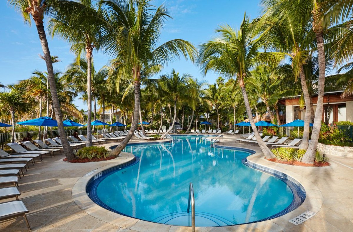 cheecalodge's tweet photo. Paradise is on sale! Book by September 20th and save up to 30% 🌴 #LoveFL #staycheeca https://t.co/ewjb62zW2V https://t.co/mtuqOEFa1Y
