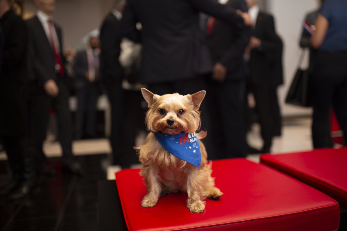 Great turnout for our VIP party celebrating the opening of <a href="/Metro_Bank/">Metro Bank</a> #MerryHill and #Solihull stores! Now come down and #JoinTheRevolution