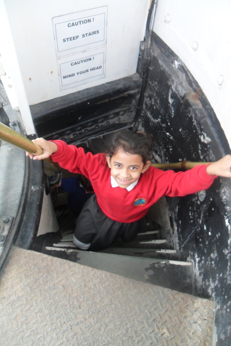 Wingrove Primary tweet media