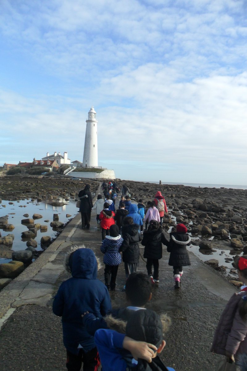 Wingrove Primary tweet media