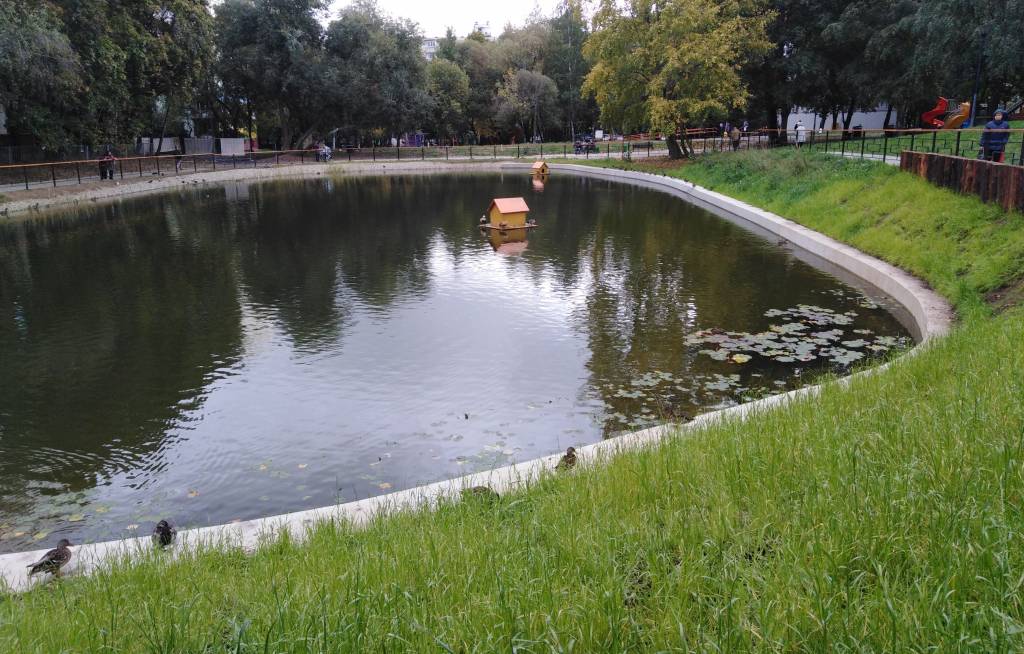 Пруд на большой Бутовской улице