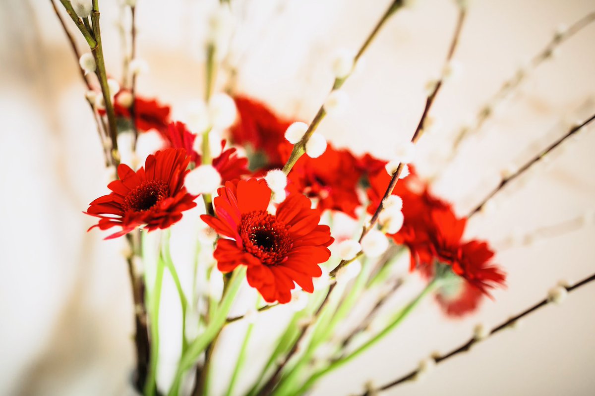 All Things House tweet media