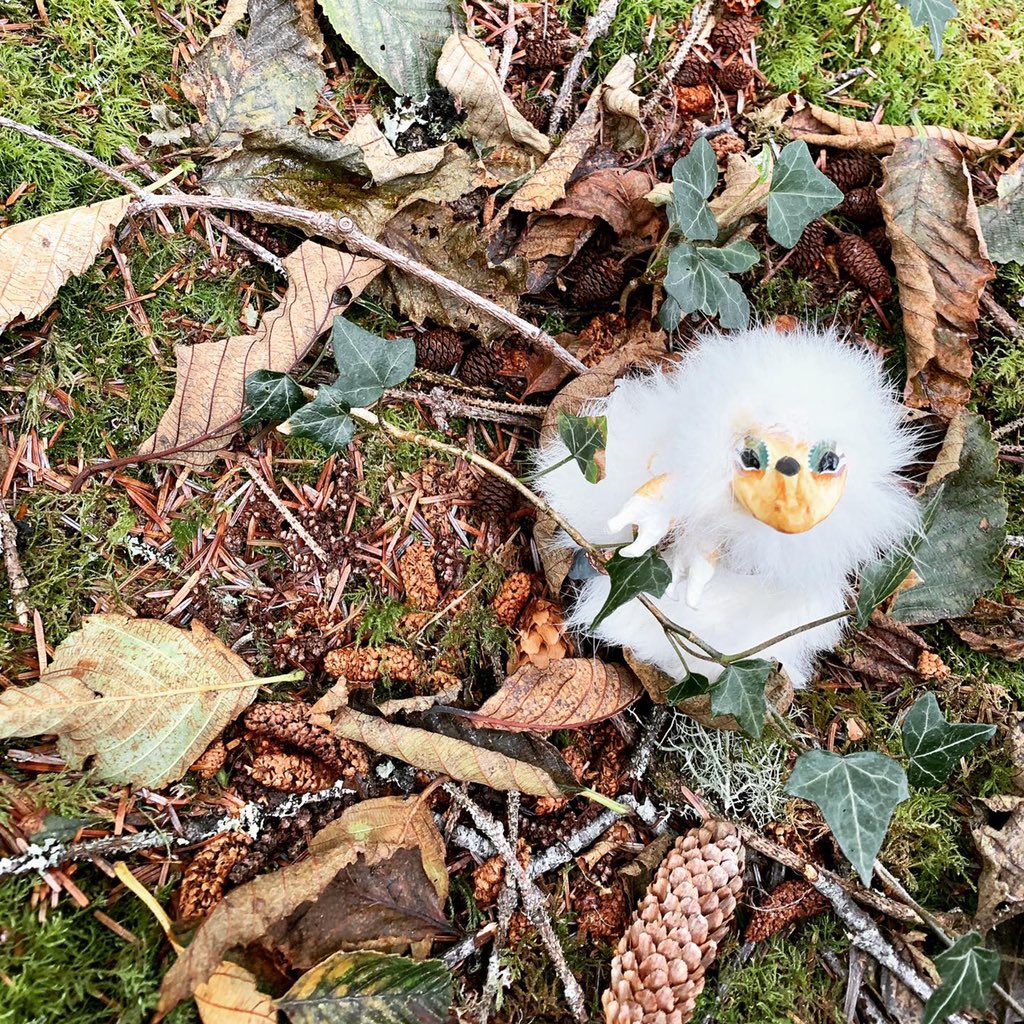 QuinnAndBloom's tweet photo. A new spirit has appeared!!! β¨βοΈβ¨
Boreal is a very sweet, very small and sometimes rather forgetful little Dustling. They will be up for adoption in our shop tomorrow at 4pm, PST!
#quinnandbloom #dustlings #spiritdoll #ooakdoll #artdoll #fae #faerie #fantasyart #witchy https://t.co/wb6R20XYtS