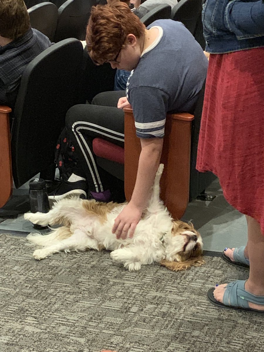 WilliamsonHS1's tweet photo. Mr. Troy loves getting some belly rubs in during Forum.  #therapydog #mrtroy #wcsdmosaic #quest2019 @WCSMarauders @graciemazzullo @GregMacaluso2 https://t.co/MeBYJTLuN3
