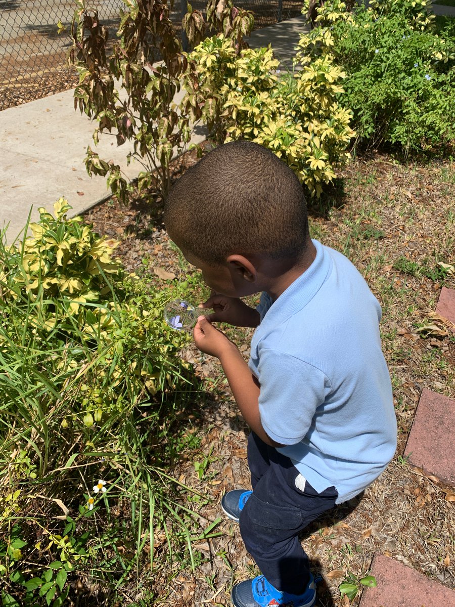 nuttybuddy357's tweet photo. Science Exploration: Science tools. #handlens #closerlook https://t.co/Z8O3ks8rG5