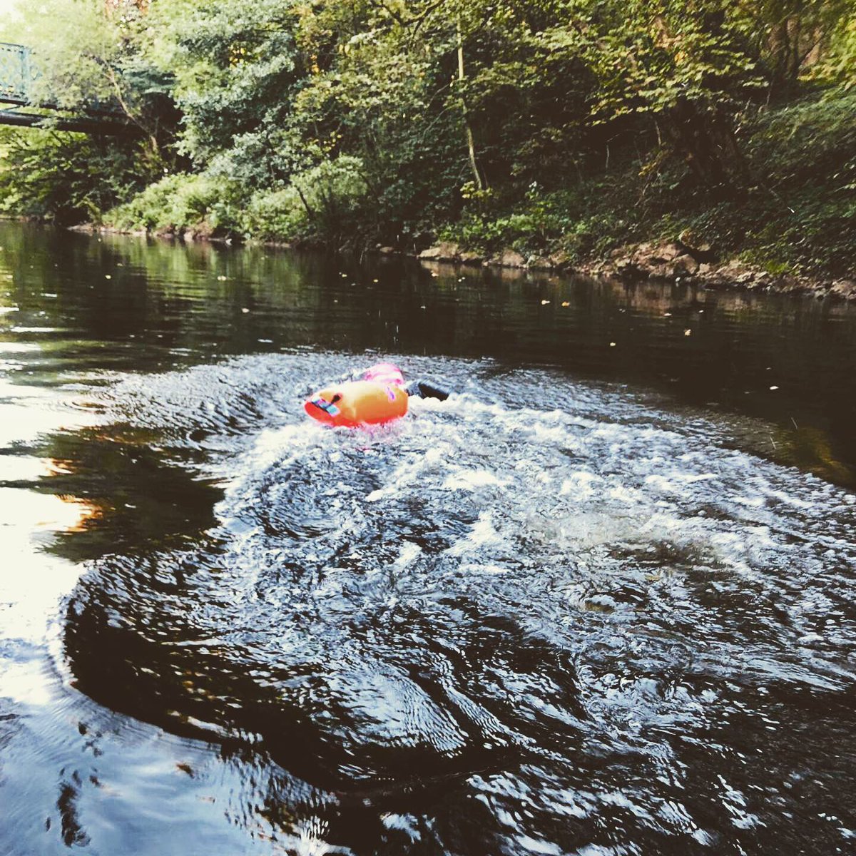 Sheffield Guided Rides tweet media