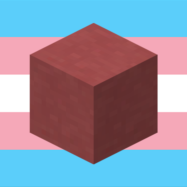 every minecraft block is trans Twitter: minecraft pink terracotta is trans https://t.co/pzz5gXXjiu" / X