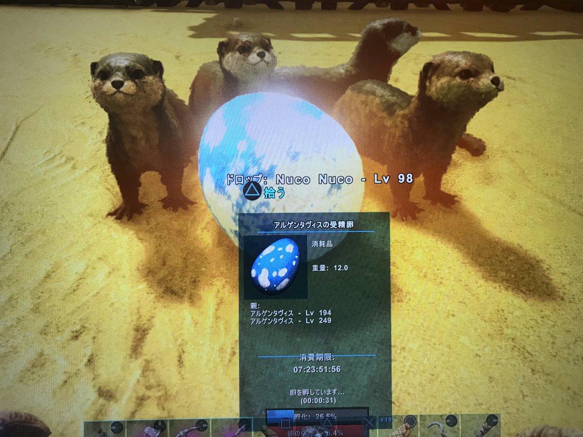 ぬこ Ark まったりアイランド アルゲンのブリーディング アルゲンの孵化温度は低いから かがり火で手軽に温めるって訳にはいかず エアコンが必要だったりするけど ウチはエアコン4台使用 因みに熱波中の画像 笑 電気要らずで省エネ ˉ ˉ