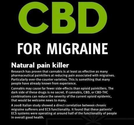 CBD for Migraines!
The Natural Pain Killer!
Read more below!
hemperialcbd.com/2019/04/29/cbd…