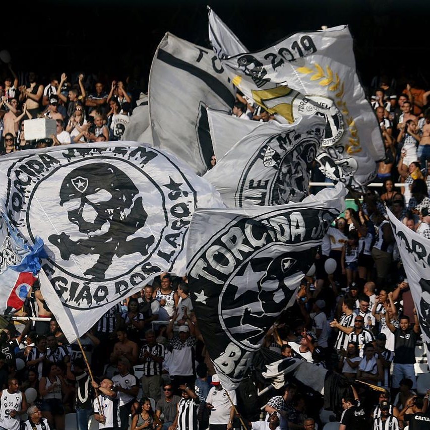 50 anos de tradição