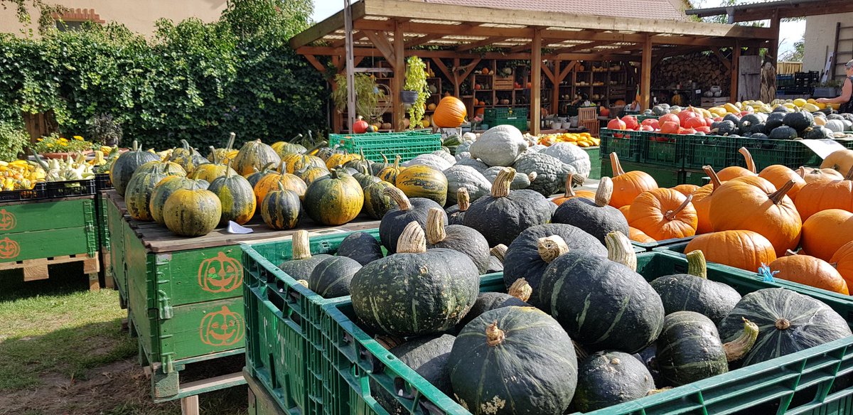 Birgit speist&reist (@reiseflut) on Twitter photo Happy #followerfriday der Herbst kommt mit großen Schritten näher 🍁🍂🌻 #ff Happy #followerfriday der Herbst kommt mit großen Schritten näher 🍁🍂🌻 #ff