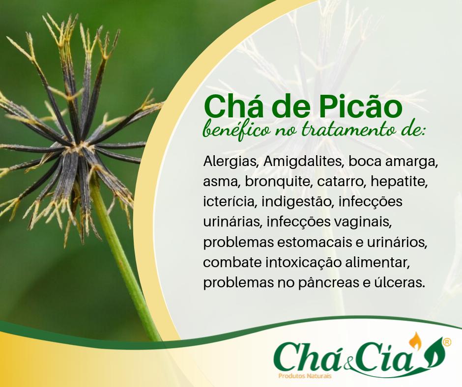 Loja Cha Cia On Twitter The Picao Bidens Pilosa Is A Plant From Tropical And Subtropical Places Well Know By Its Seeds That Stick To Clothes As Tea It Has