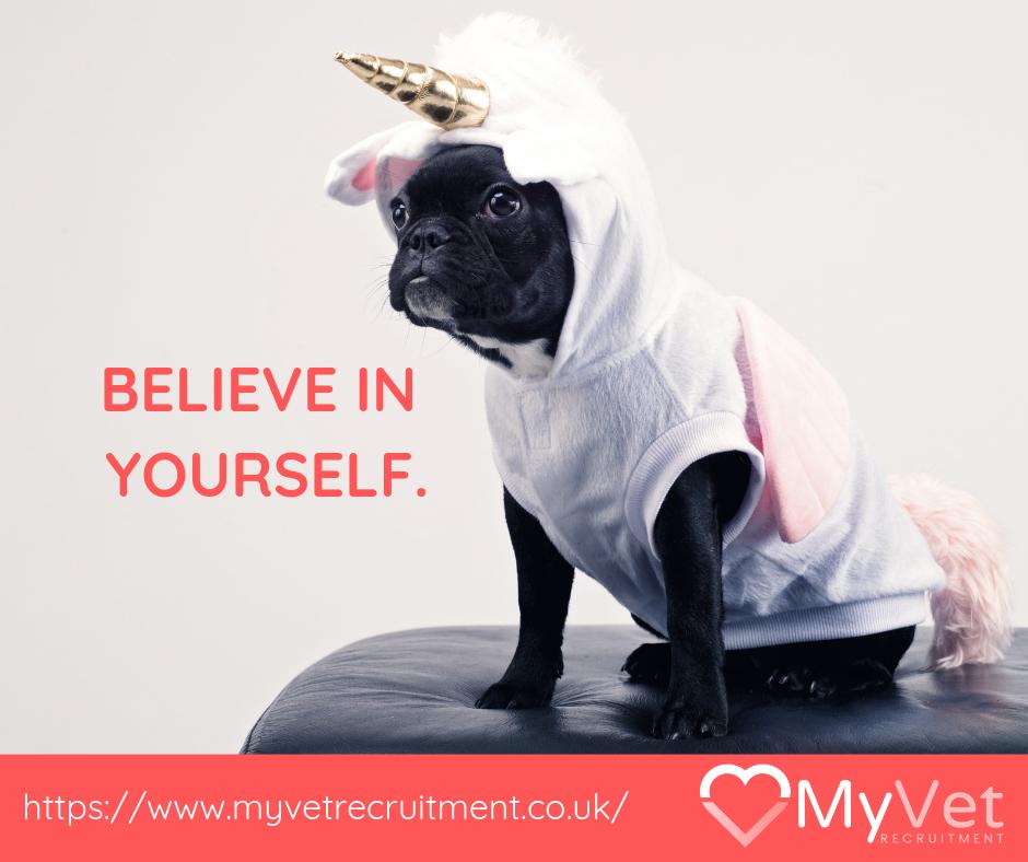 MyVet_'s tweet photo. It is never too late to become who you want to be! Do you want to change career? We can help you! All you need to do is upload your CV here https://t.co/eRc6j4K7Nn or email us: contact@myvetrecruitment.co.uk
.
.
.
#VeterinaryRecruitment #RVN #VetSurgeon #VetNurse #Veterinarian https://t.co/ghQDt12STn