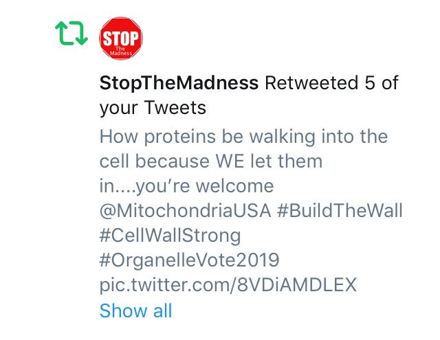 cellwallsrcool's tweet photo. Building support one tweet (and one molecule of cellulose) at a time!! Thank you @ImmoralReport!! #CellWallStrong #BuildTheWall #OrganelleVote2019 https://t.co/B41ijCbIm5