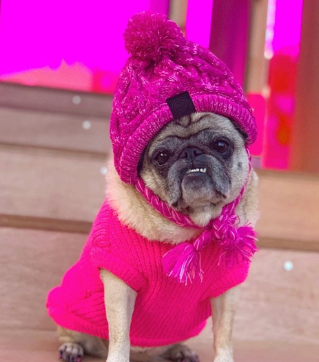 Pretty in Pink (the 2019 remake). <a href="/MollyRingwald/">Molly Ringwald</a> looks different