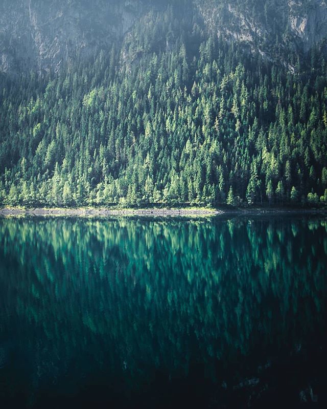 Instagramers Austria tweet media