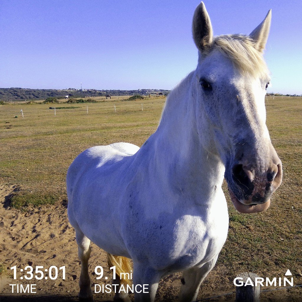 Ashton378's tweet photo. Enjoying the last of the summer sunshine before Autumn officially begins 😎 #trailrunning #fridayrun https://t.co/a3RJBiyqfa