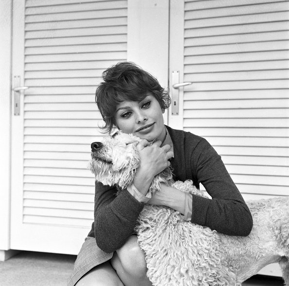 Happy 85th birthday to screen legend Sophia Loren! 