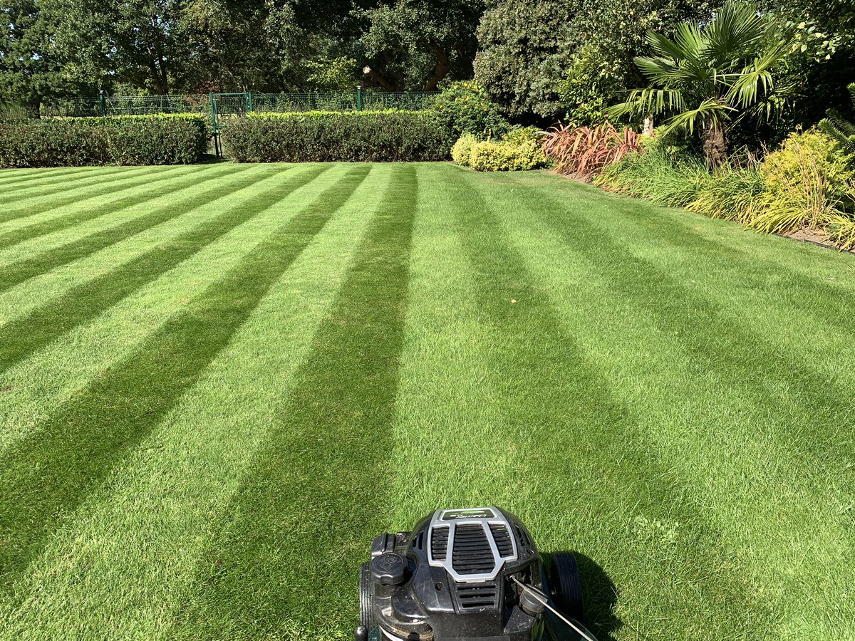 fishersfarmlawn's tweet photo. Can’t beat some decent @haytermowers stripes. #sunshine #stripes #greengrass #lawnstripes #hayterstripes #hayterarmy #haytermowers https://t.co/mxzewYT52Q