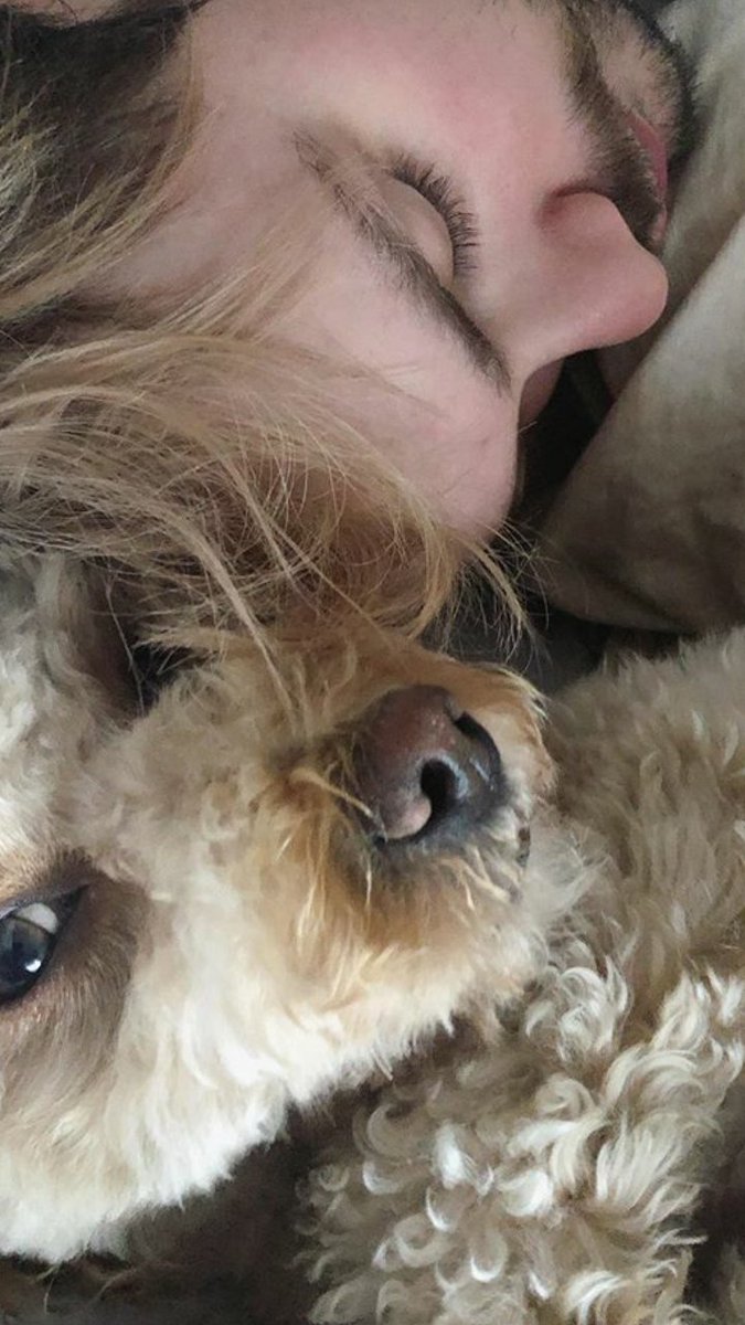 what are you doing when you wake up and see them on your bed?