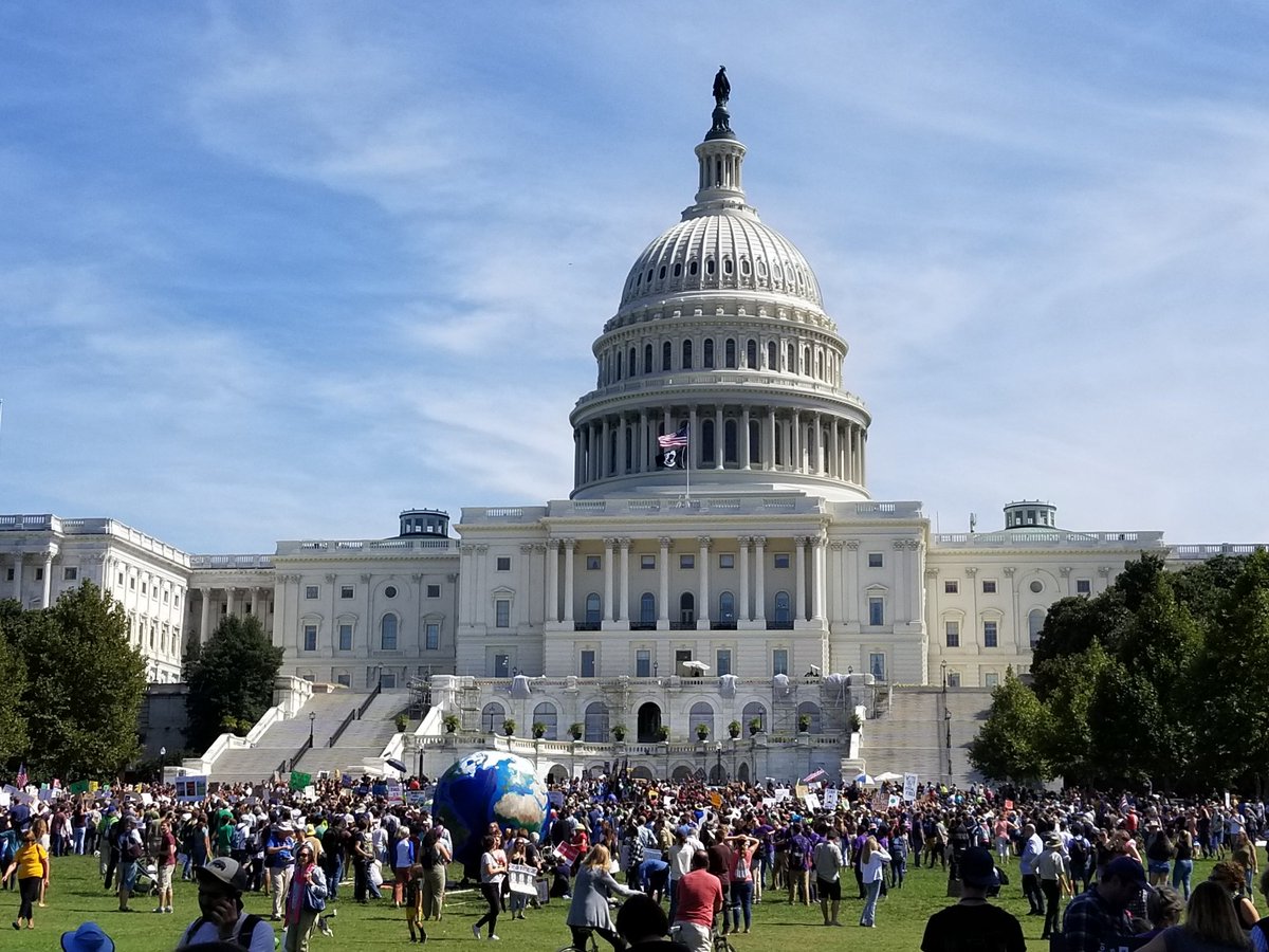 neuraleng's tweet photo. @NatureRocks @Nature_NE #ClimateStrike view from DC. #StrikeWithUs https://t.co/PE7BDM9pHk