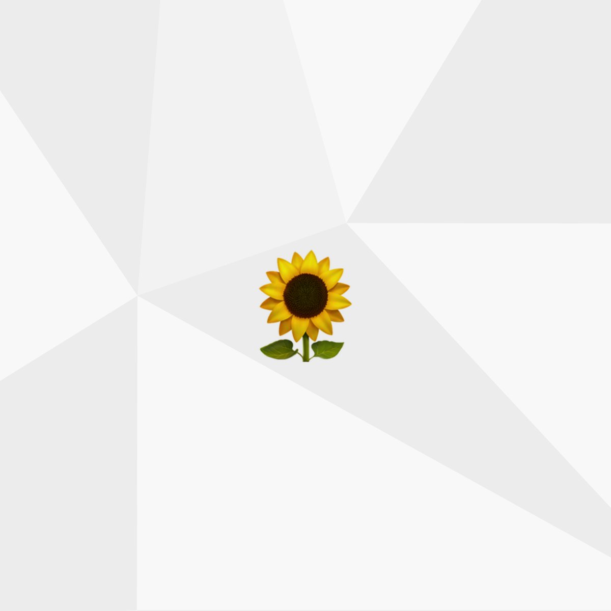 ActivosComunica's tweet photo. Es época de florecer. Proyectos, ideas, emociones... https://t.co/WEQADlNoyx
