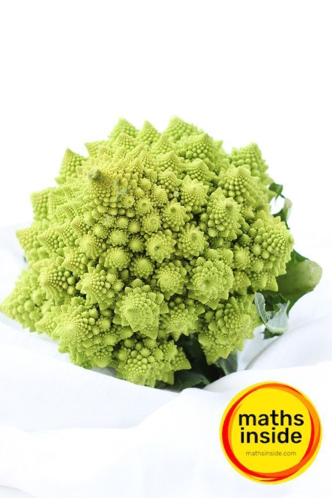 mathsinside's tweet photo. Have you seen some #maths ๐ช๐ฏ ๐ต๐ฉ๐ฆ ๐ธ๐ช๐ญ๐ฅ? Perhaps hiding in the fractal glory of Romanesco broccoli? Capture the #wild side of maths in #nature! #MathsInside #MathsWeekScot18 #Scotland #creativemaths #HE #interdisciplinary #art #PhotoCompetition https://t.co/BablTwORpQ