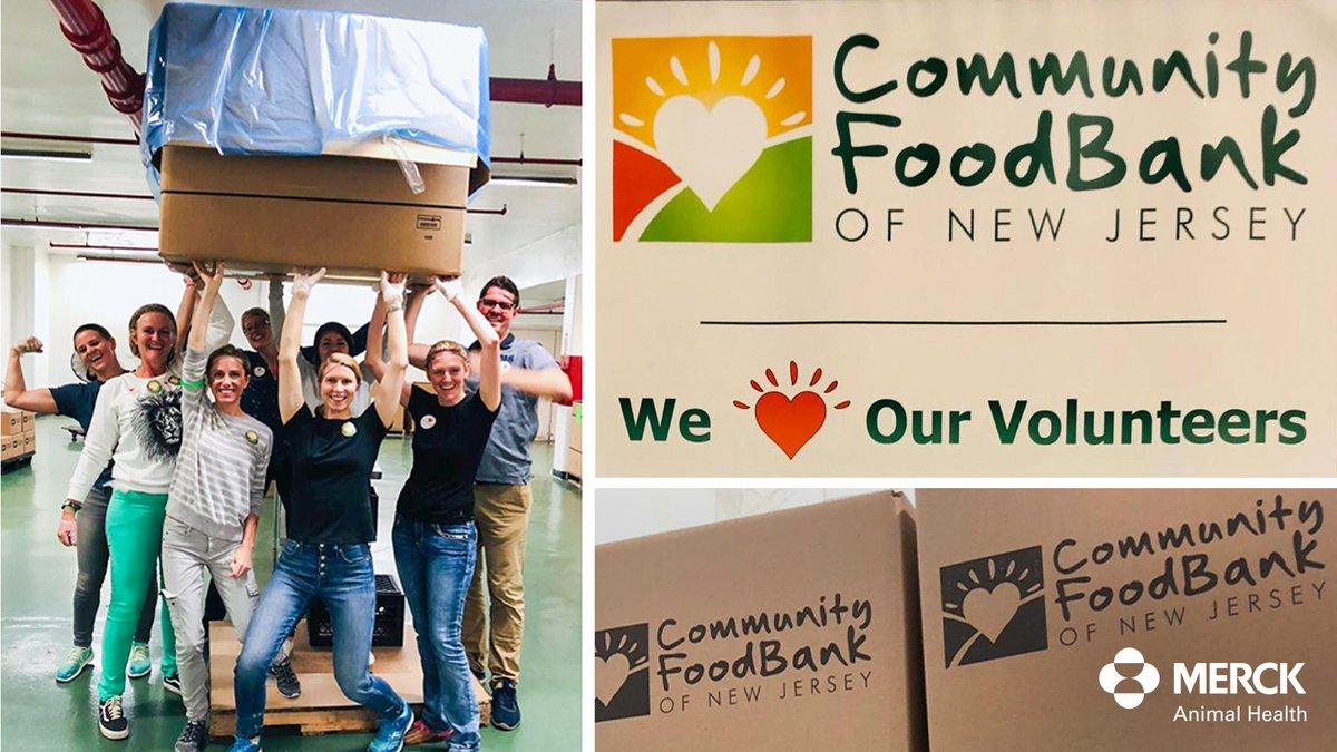 MerckAH's tweet image. Mission complete. Our Global Policy &amp;amp; Communication teams joined forces to volunteer at the @CFBNJ. Their service work aided in the distribution of more than 7,100 meals for people in local shelters, soup kitchens &amp;amp; after-school programs. #AtMerckImInspired