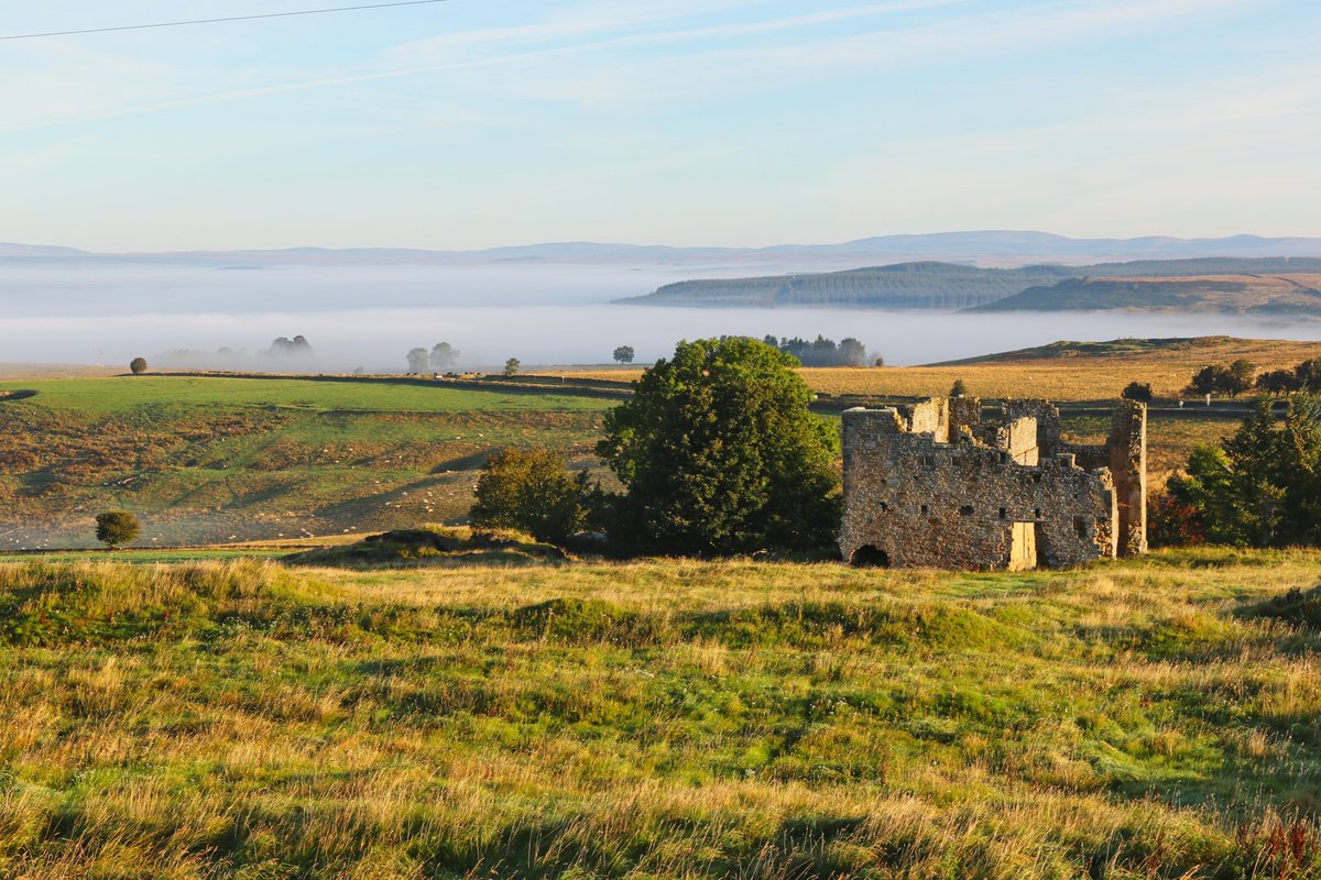 bambershort's tweet photo. Beautiful morning, cloud inversion overlooking the Rede Valley from Ridsdale. https://t.co/sxBZZoBT46