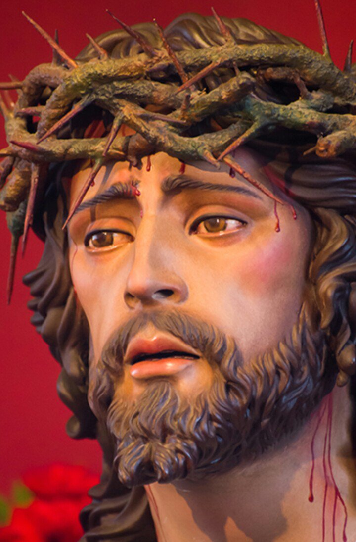 Oración y Amargura tweet media