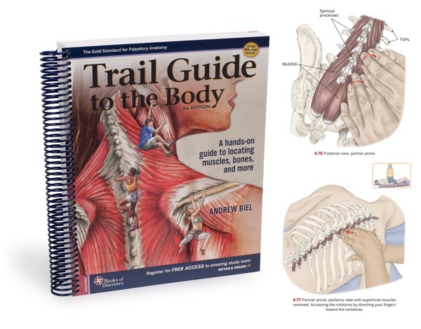 TrailGuide2Body's tweet photo. We've been quiet for a little while and for good reason. We've been working very hard on something VERY exciting...

WE HAVE OFFICIALLY RELEASED NEW EDITIONS OF THE TRAIL GUIDE SERIES!!!

Check out what's new &amp; order your copies today! https://t.co/Ub5lp6TiWc https://t.co/qqOVQXg9Vo