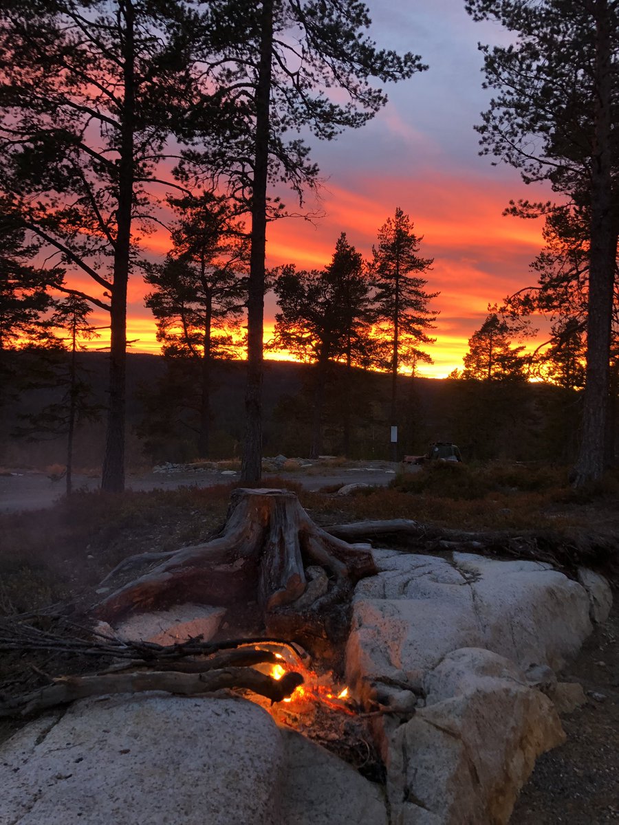 SyversenMona's tweet photo. #raje #hyttekos #godevenner #kjærstetid #travvenner https://t.co/0OU9urIaTt