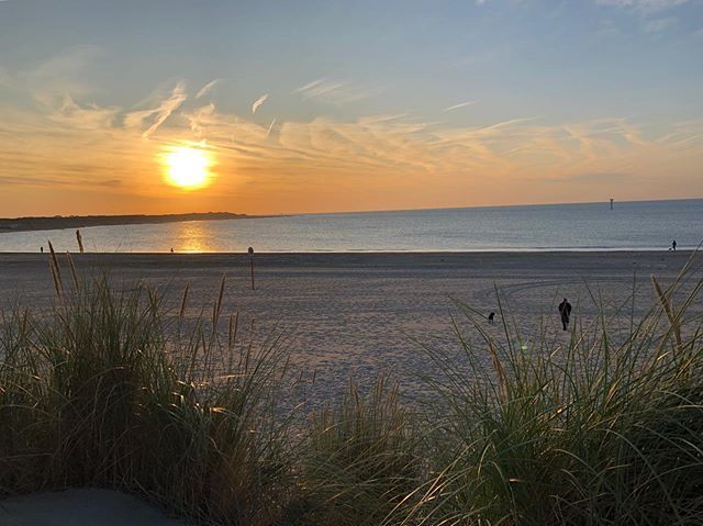 michaelahrabec's tweet photo. Zeeland. No filter needed. ❤️ https://t.co/DBy1PCTTKQ https://t.co/IJIhJF6Lrl