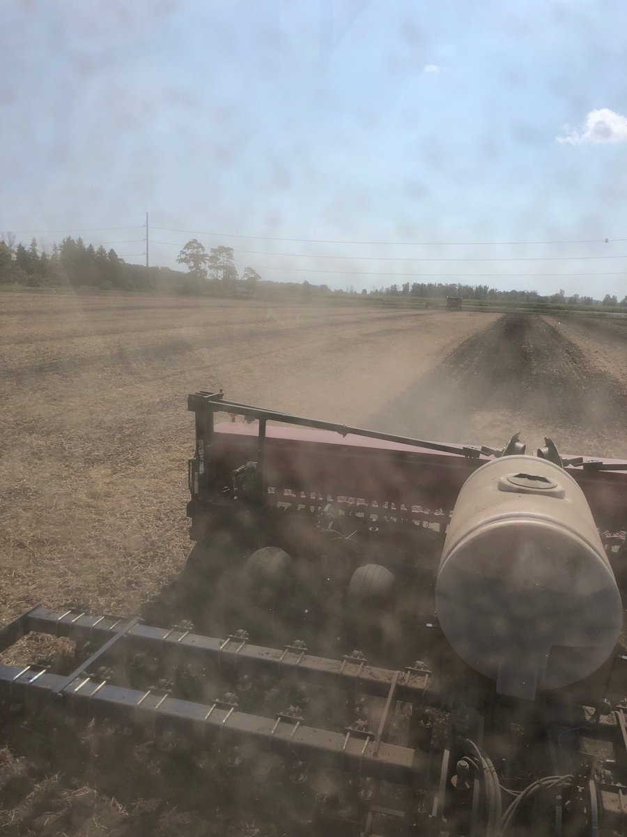 fortrosecolin's tweet photo. It’s a dusty window kinda day #wheat19 https://t.co/YKP6AF34XA