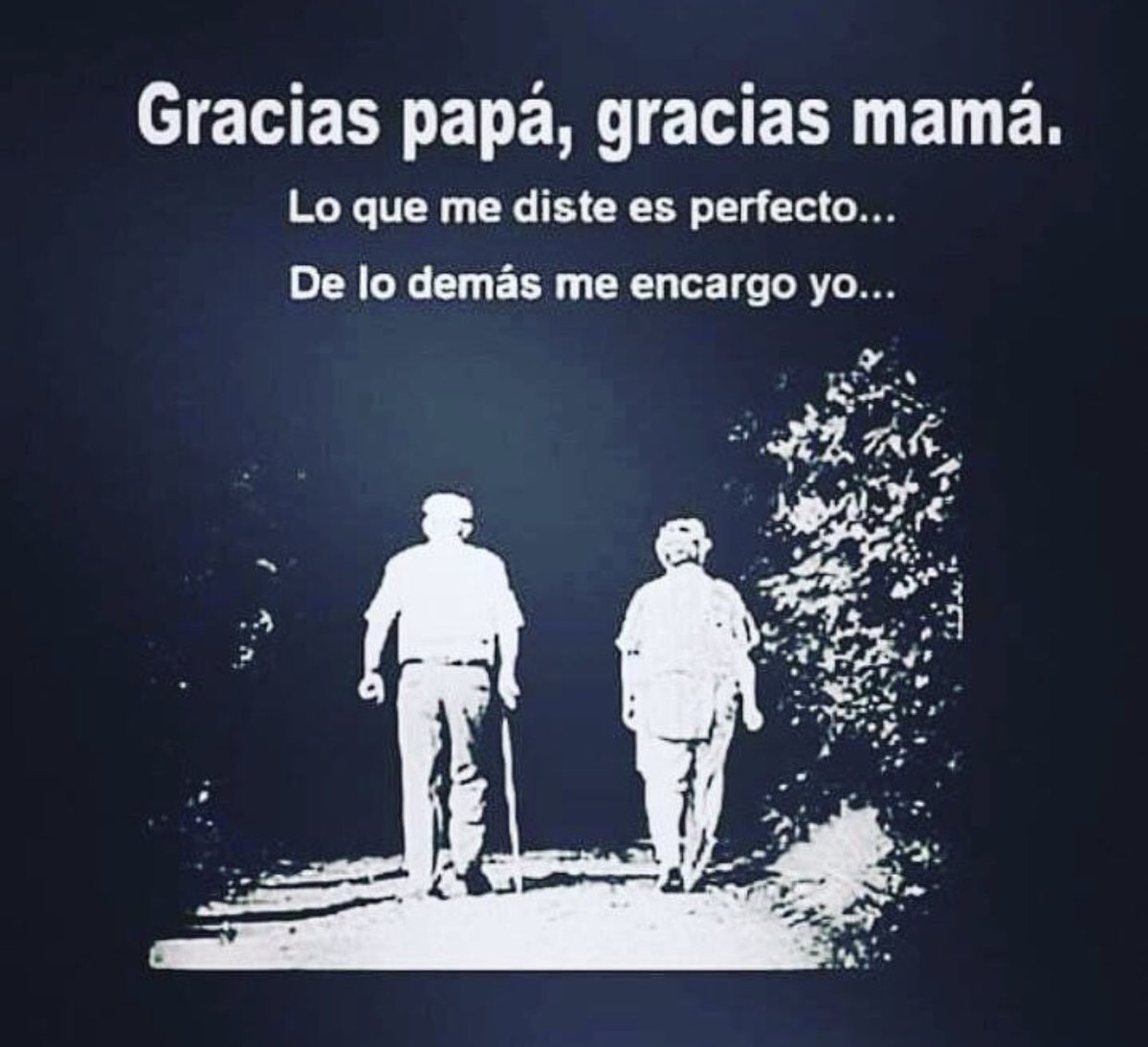 O Xrhsths Verdad Sto Twitter Gracias Papa Y Mama O Xrhsths Verdad Sto Twitter Gracias Papa Y Mama