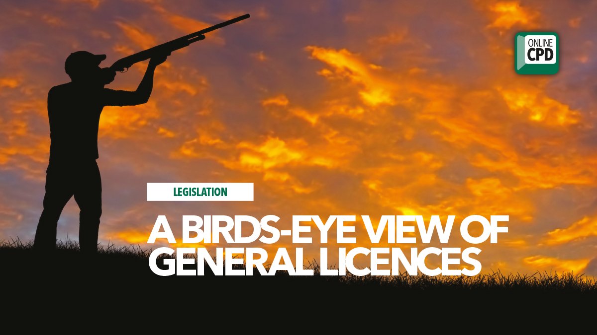 britpestcontrol's tweet photo. It's been a big year in bird licence news, so we did a round-up in #PPC96. 🐦 Read: https://t.co/37Mjbbbd7X #PestNews #GeneralLicences https://t.co/IuiOFNORCc