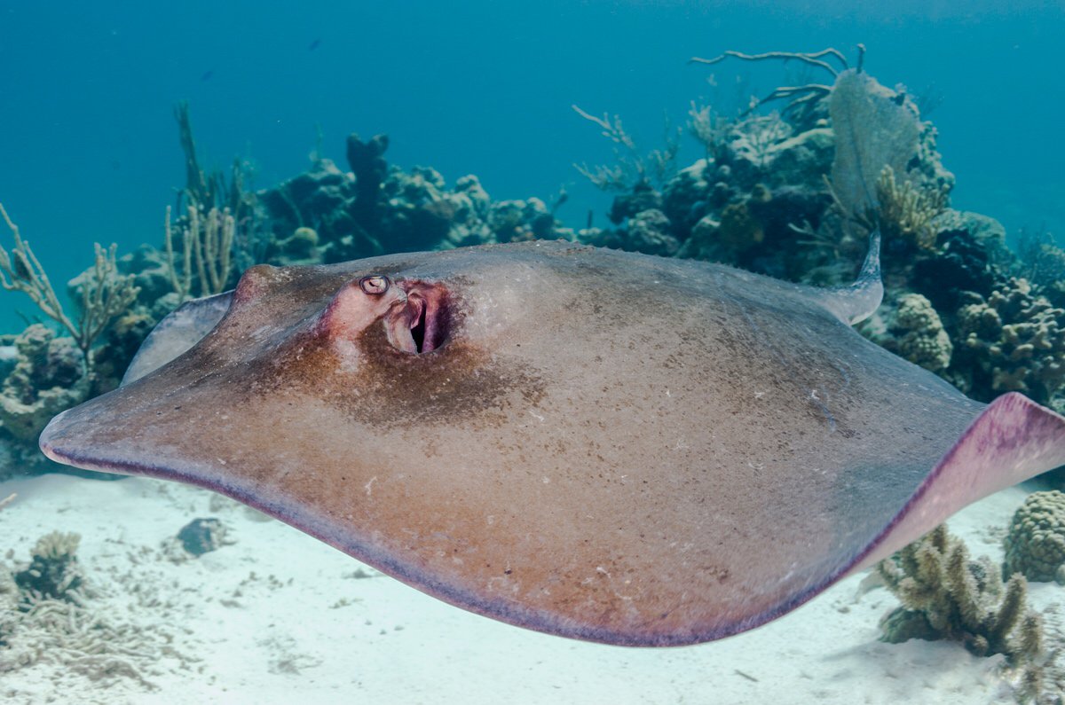 Ocean First Education tweet media