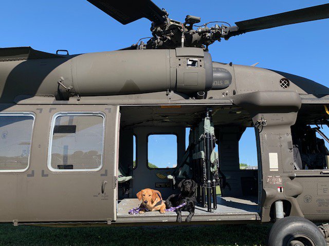 paws4ph's tweet photo. It is National POW/MIA Recognition Day. This day honors those who were prisoners of war and those who are still missing in action. We have not forgotten these military members and we continue to support them until everyone is brought home & accounted for. #pphLucy #pphLibby https://t.co/LYrgTA1IPd