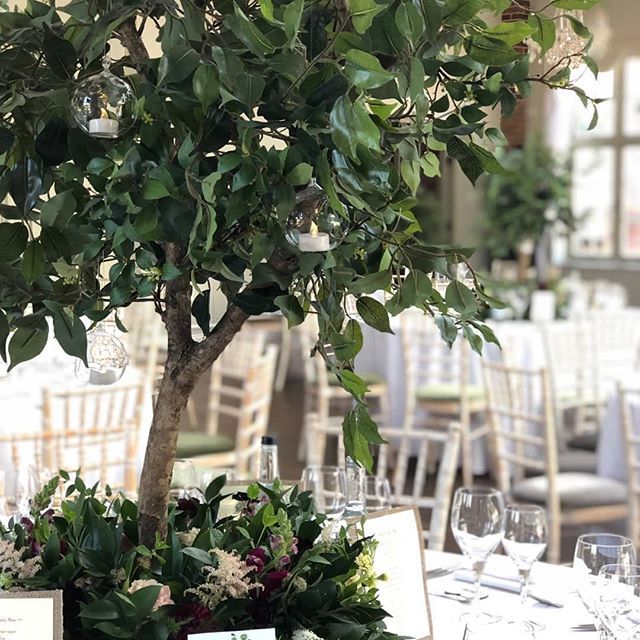 DressitYourself's tweet image. The table trees looked great @offleyplace yesterday thanks to @gillybeanflowers for making the bottoms look lovely! #treecentrepiece #tabletree #treewedding #🌱 #🌳 #offleyplace #offleyplacewedding  #offleyplaceweddings