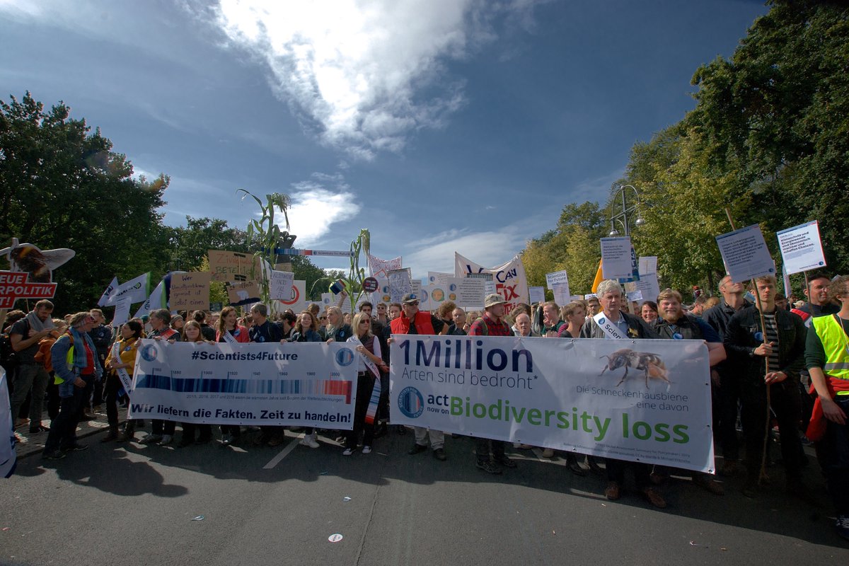 Felix Raulf tweet media