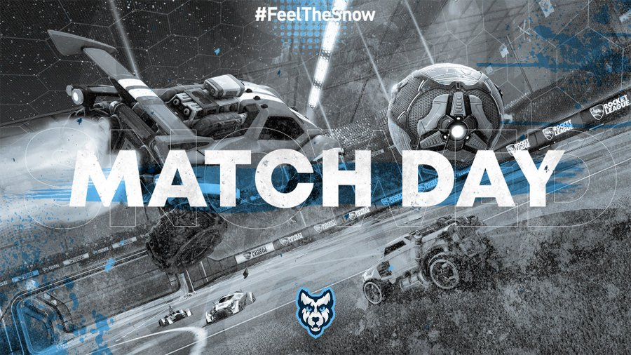 SnowedWolves 🐺 tweet media