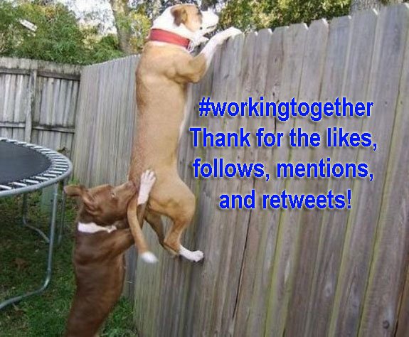 SteveAndApril1's tweet photo. A big welcome our new Twitter partners: @LifeWithJohn @TingPhillip @BusinessAdvis11 @SaraBahrami0 @InspireSpeakers @RealEst42811331 @BradcoCompanies @philipaohlund
 @DevinResendez2 @Mukulmon703  and as always, thanks to all of our current Twitter connections! https://t.co/MGn4prSEOA